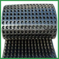 HDPE Plastic Dimple Waterproof Drainage Panels